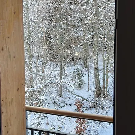 Studio Aux Pieds Des Pistes, Des Chemins De Rando Les Déserts Exterior foto