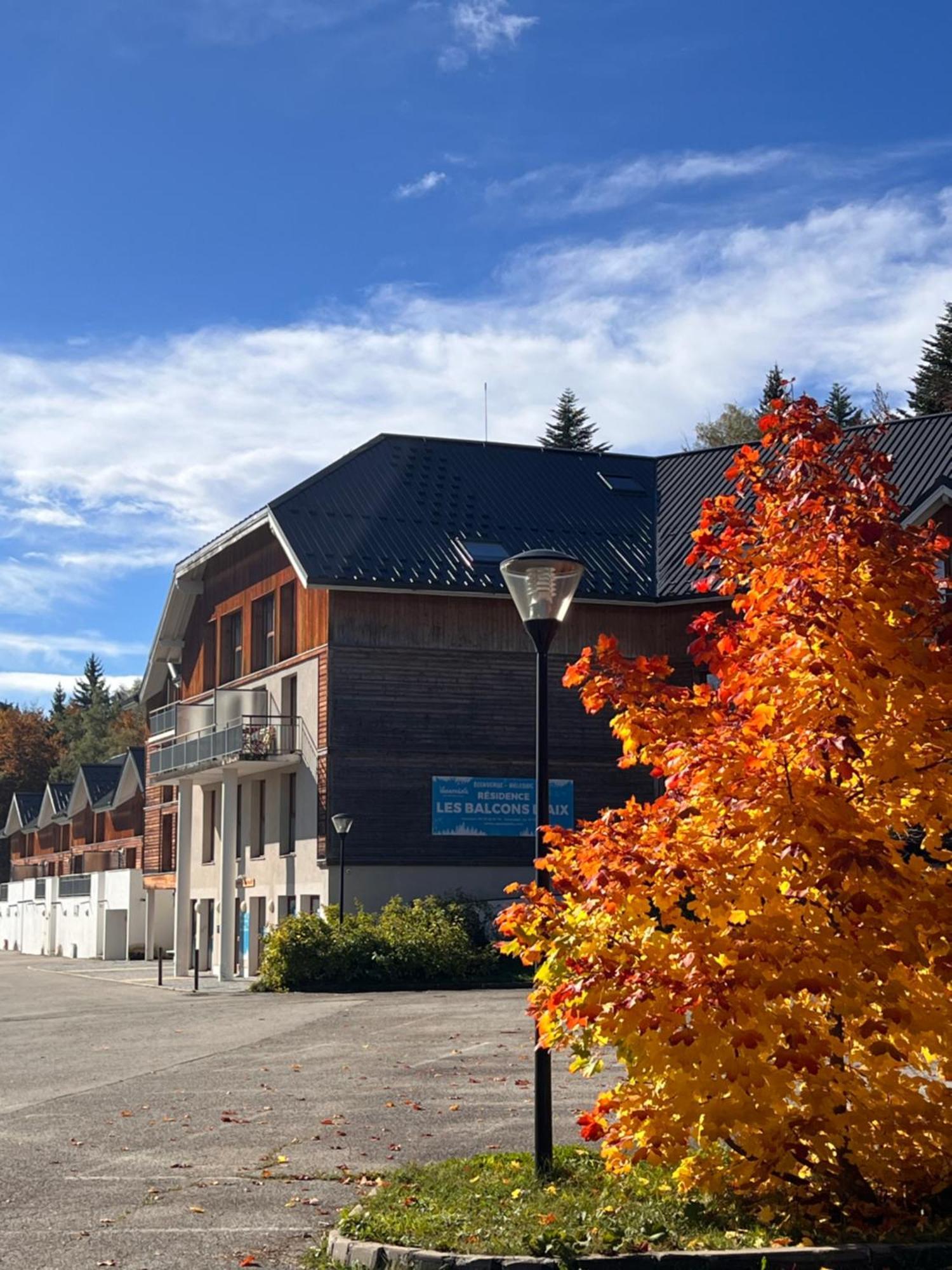 Aux Pieds Des Pistes, Des Chemins De Rando Apartment